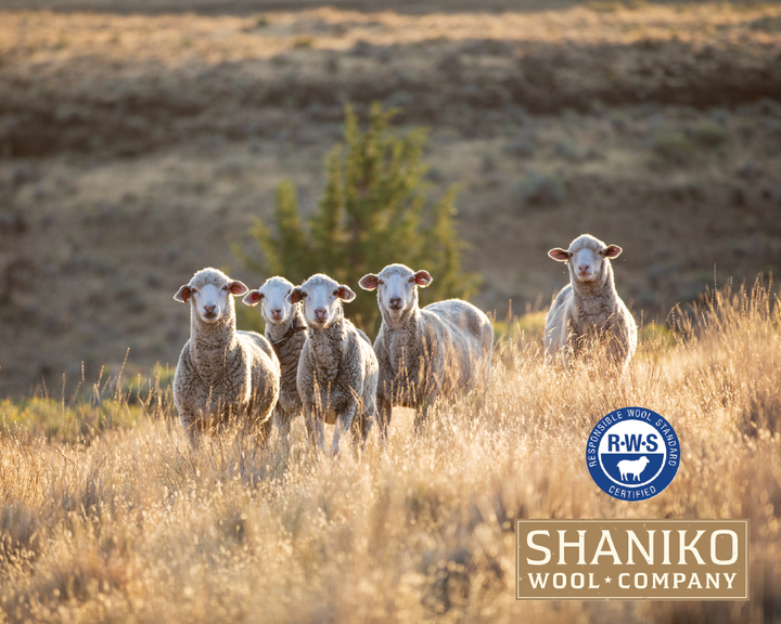 Shaniko Wool: A conversation with founder, Jeanne Carver